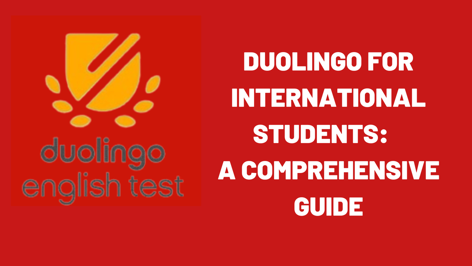 duolingo-english-test-what-it-is-cost-and-list-of-schools-that-accept