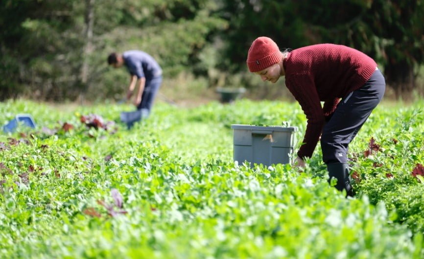 CAIP: An Overview of the new Canada Agri-Food Immigration Pilot