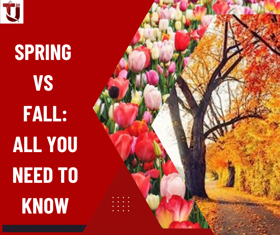 Choosing the Perfect Intake: Fall vs Spring Intake